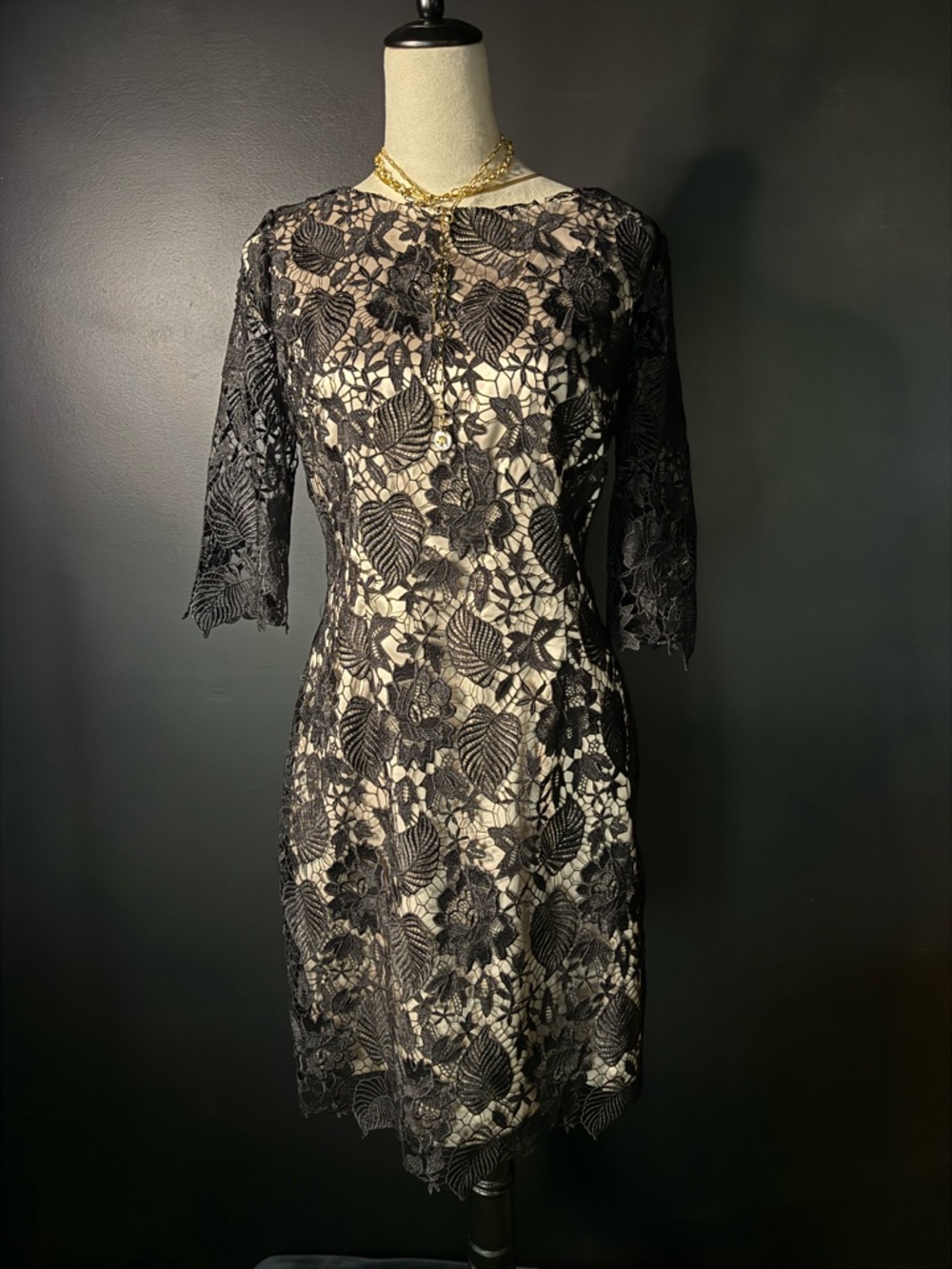 Elegant Black Lace Sheath Dress with Nude Lining - Picture 3 of 7